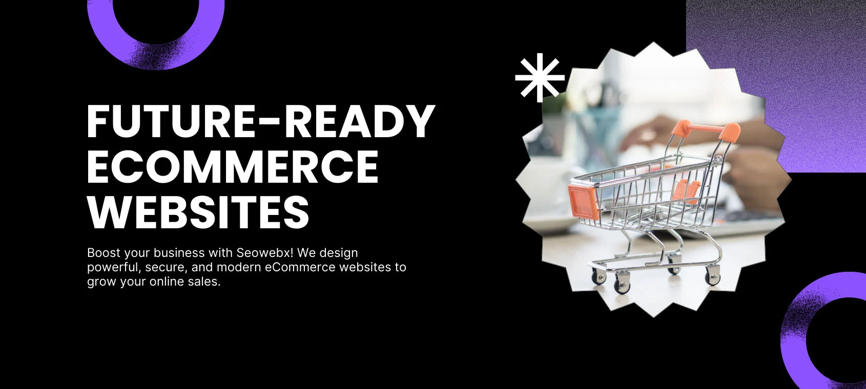 Seowebx eCommerce Website Development Services