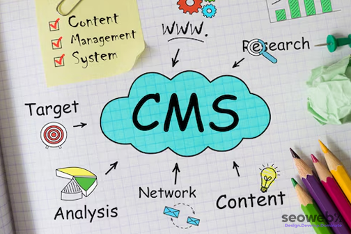 cms development services by Seowebx