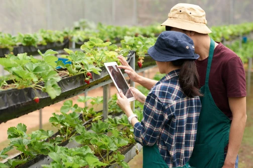 Agriculture agritech website design farming SEO