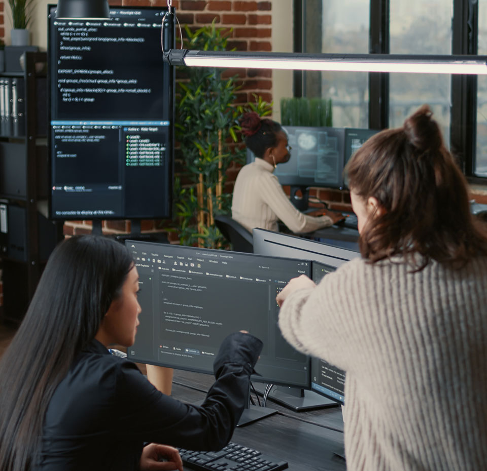 Seowebx website development service